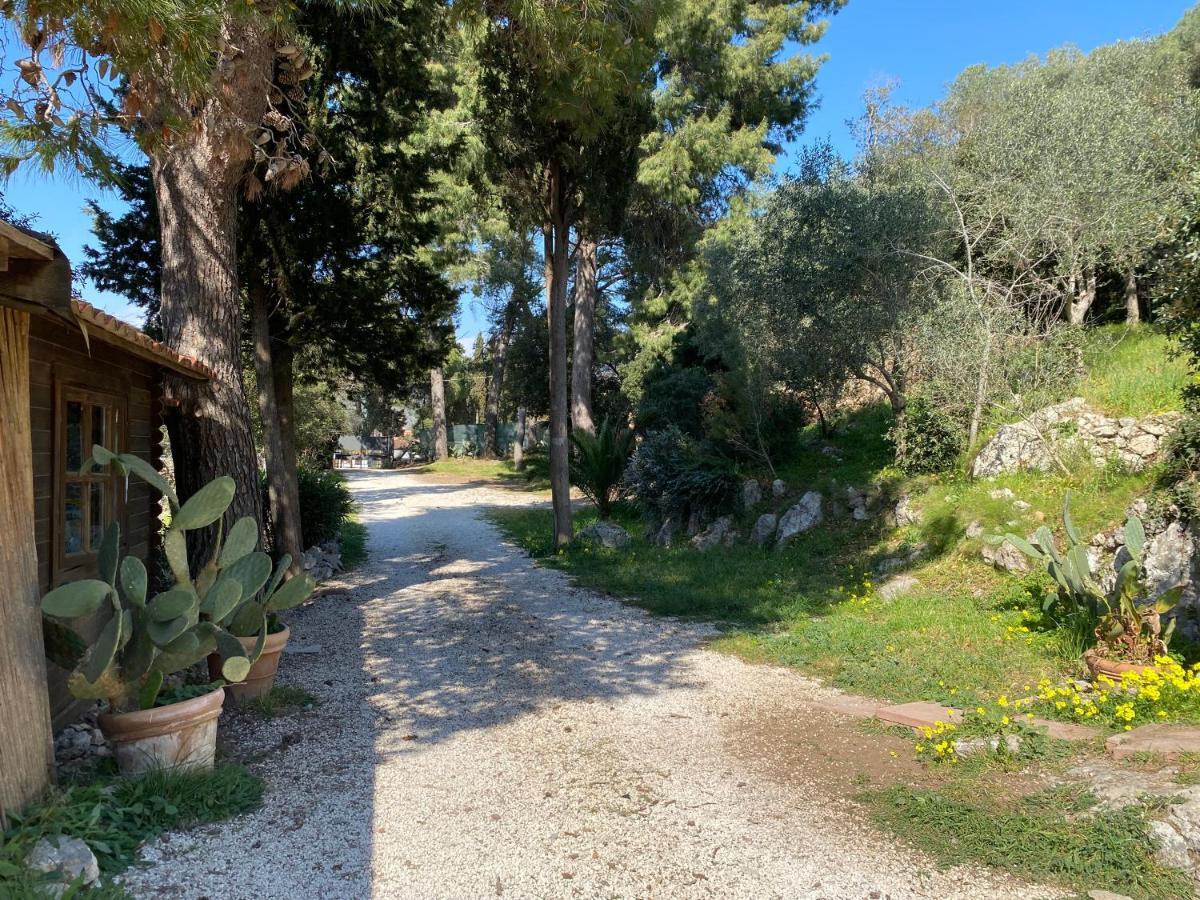 Villa Paradisino Орбетелло Экстерьер фото
