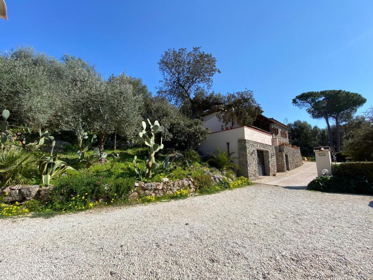 Villa Paradisino Орбетелло Экстерьер фото