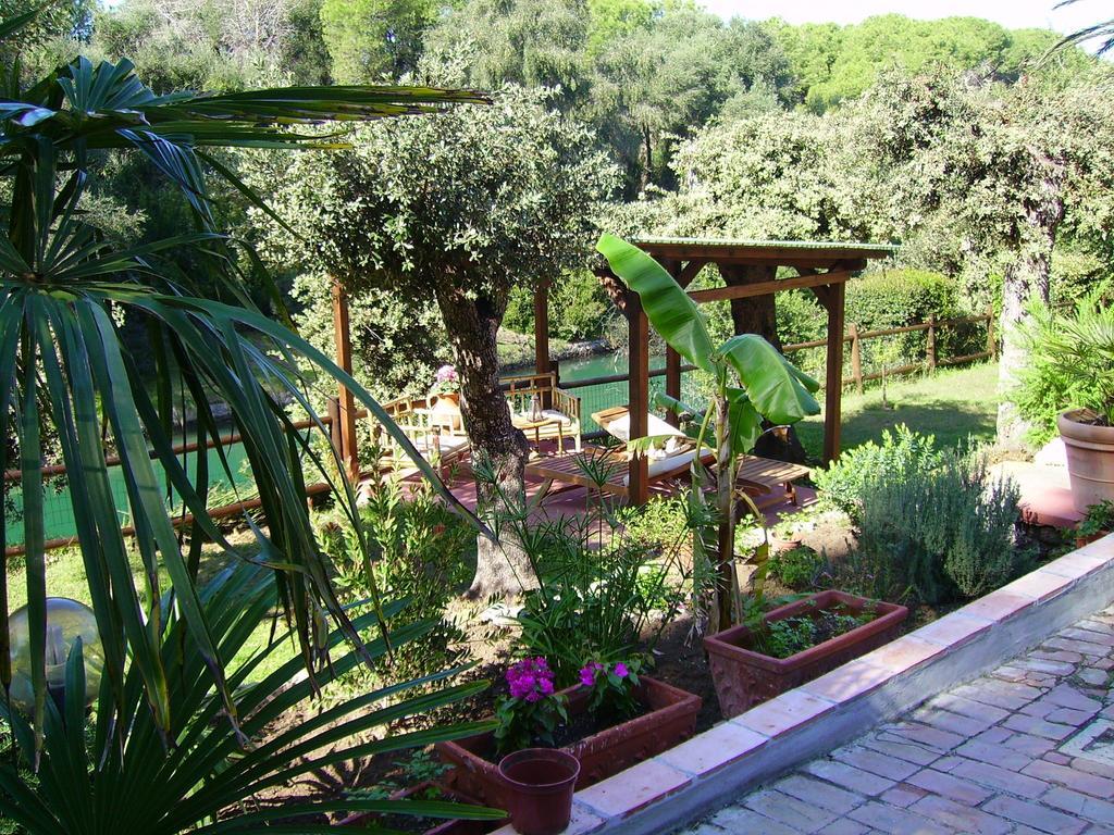 Villa Paradisino Орбетелло Номер фото