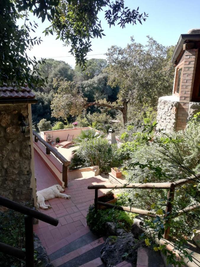 Villa Paradisino Орбетелло Экстерьер фото